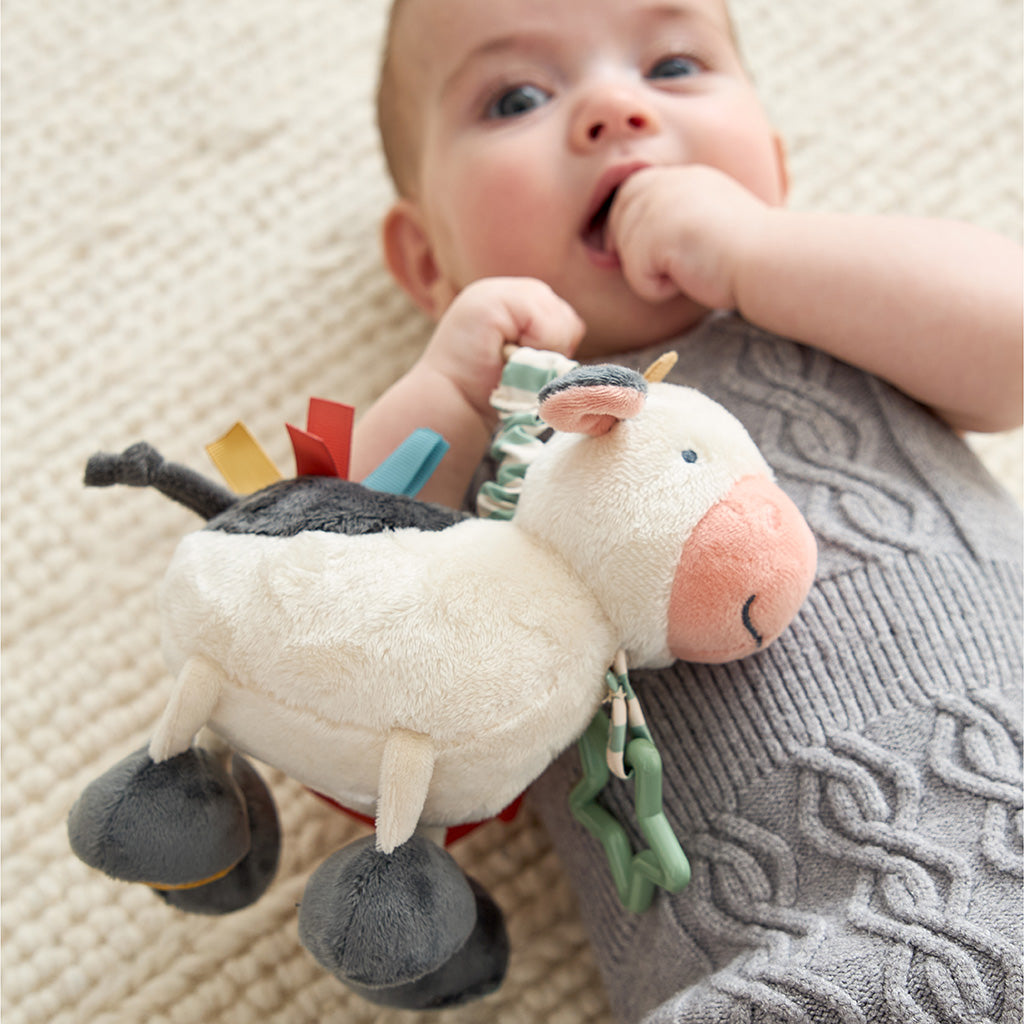 Link & Love™ Teething Activity Toy (Carmen the Cow)