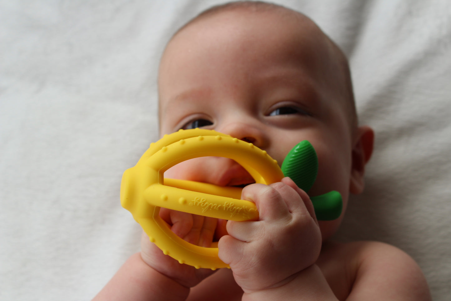 Bitzy Biter™ Teething Ball & Training Toothbrush (Lemon Drop)