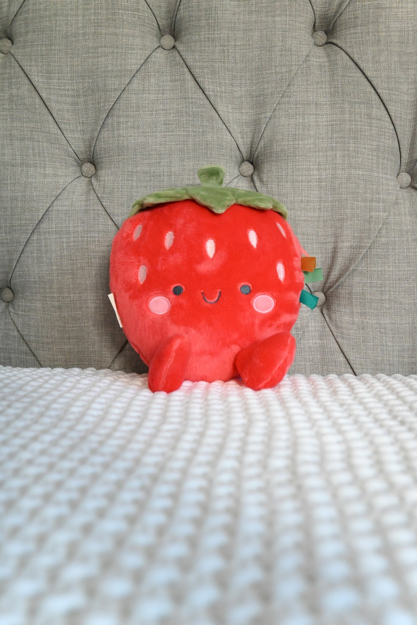 Sweetie Snuggles™ Plush (Bonnie the Strawberry)