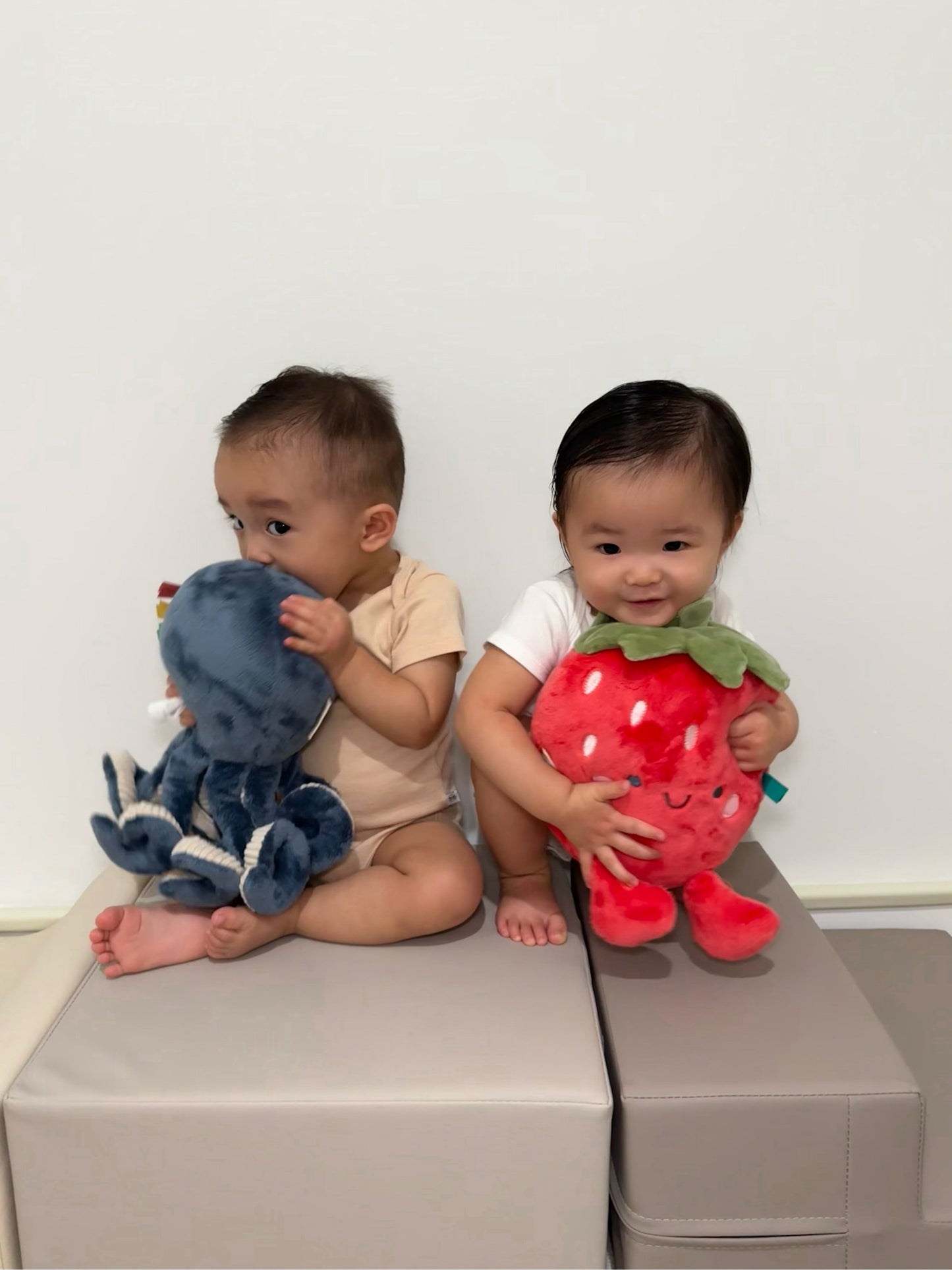 Sweetie Snuggles™ Plush (Bonnie the Strawberry)