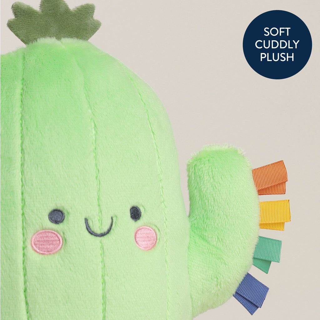 Sweetie Snuggles™ Plush (Cooper the Cactus)