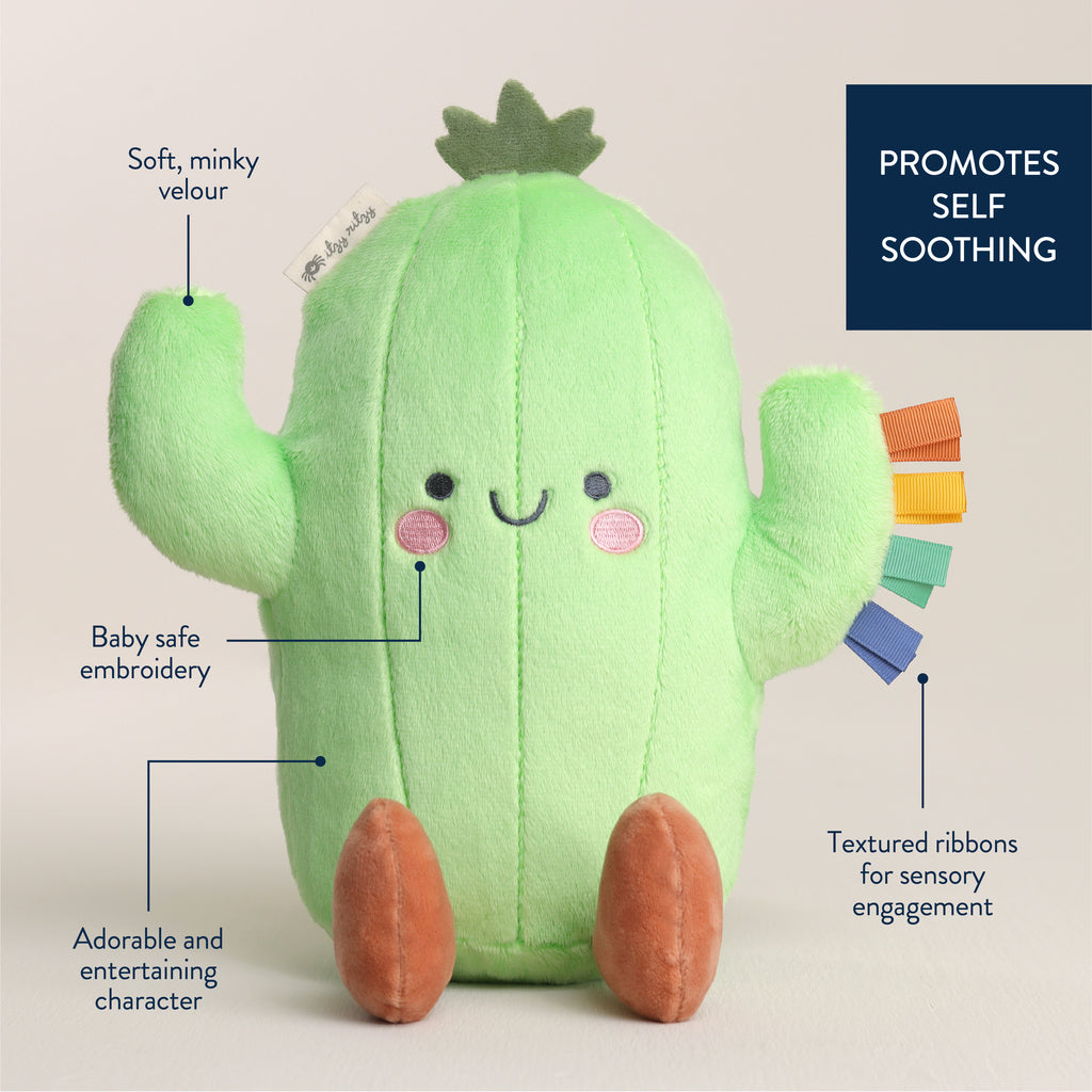 Sweetie Snuggles™ Plush (Cooper the Cactus)