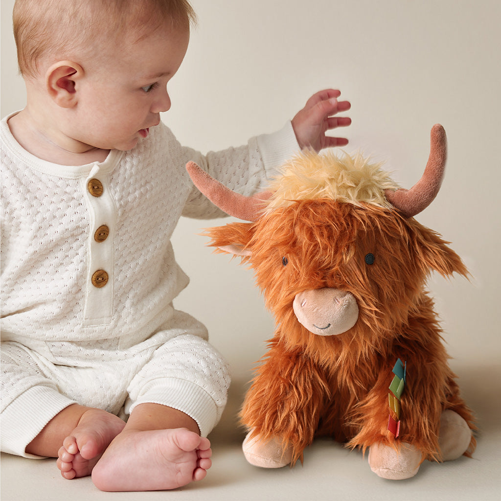 Sweetie Snuggles™ Plush (Wyatt the Highland Cow)