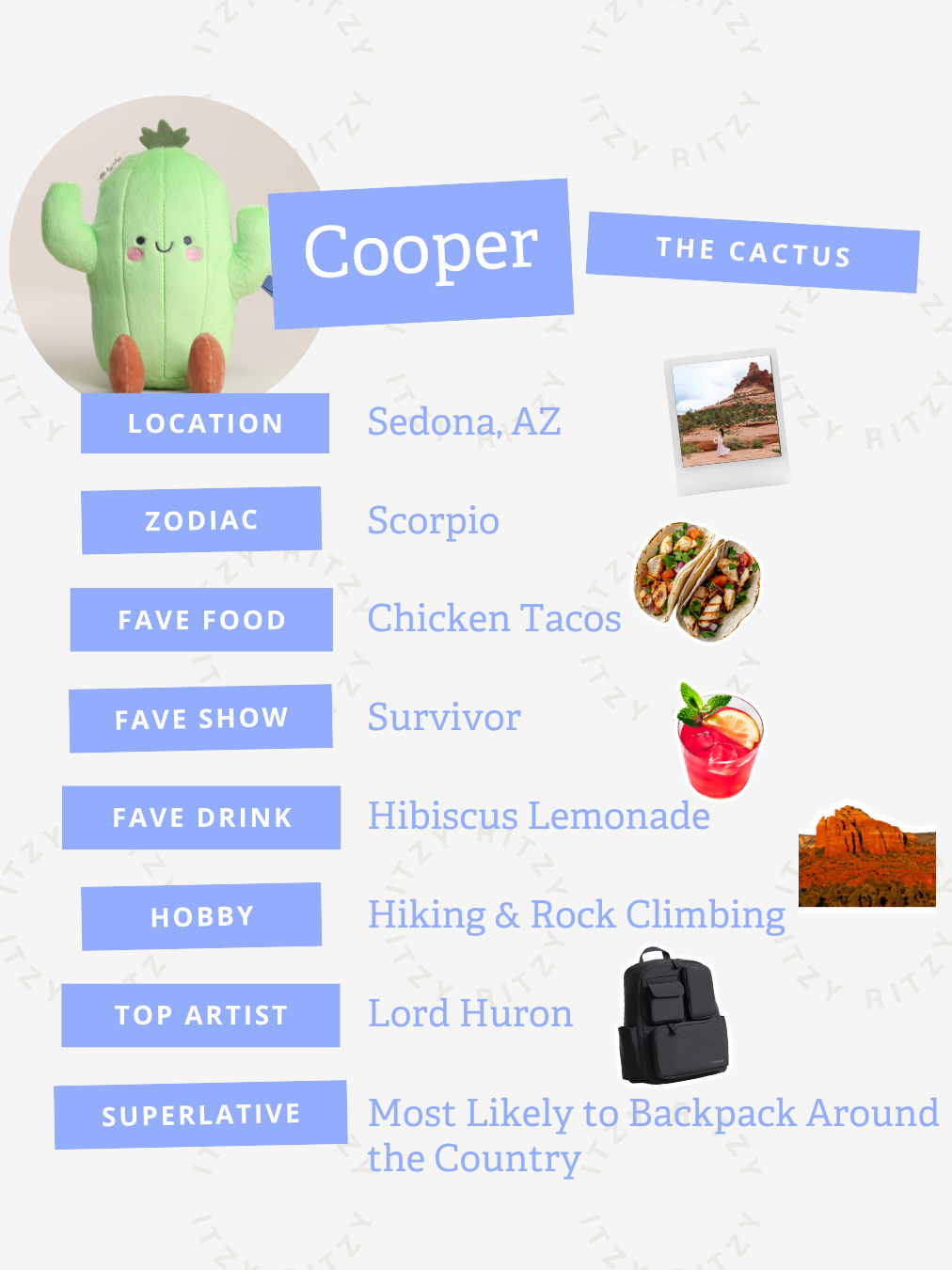 Sweetie Snuggles™ Plush (Cooper the Cactus)