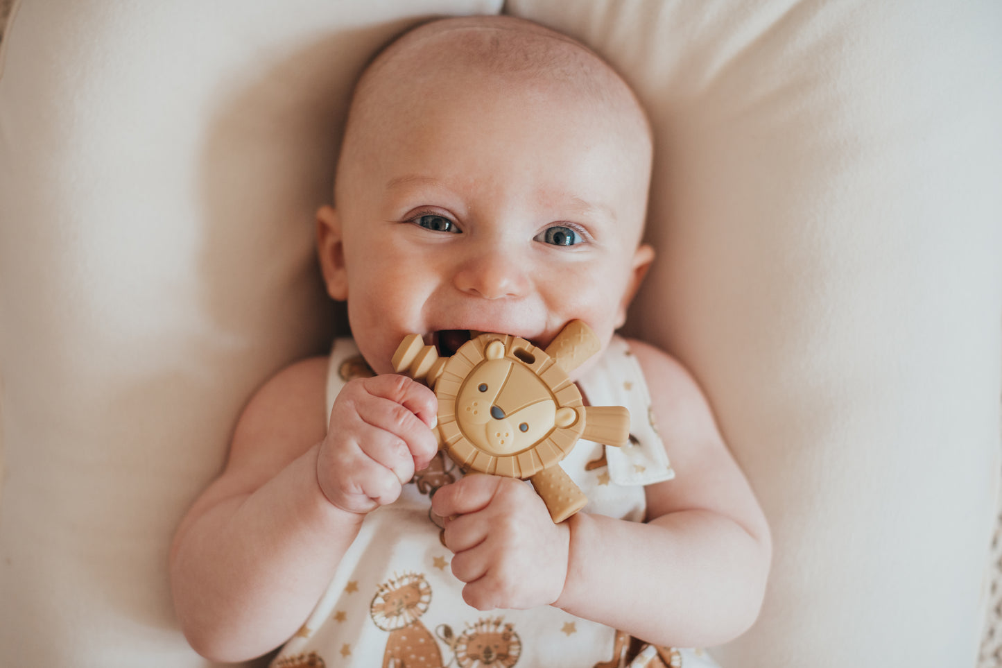 Ritzy Teether™ - Molar Teether (Buddy the Lion)